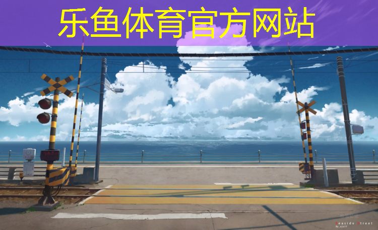 乐鱼体育,青海自洁纹塑胶跑道
