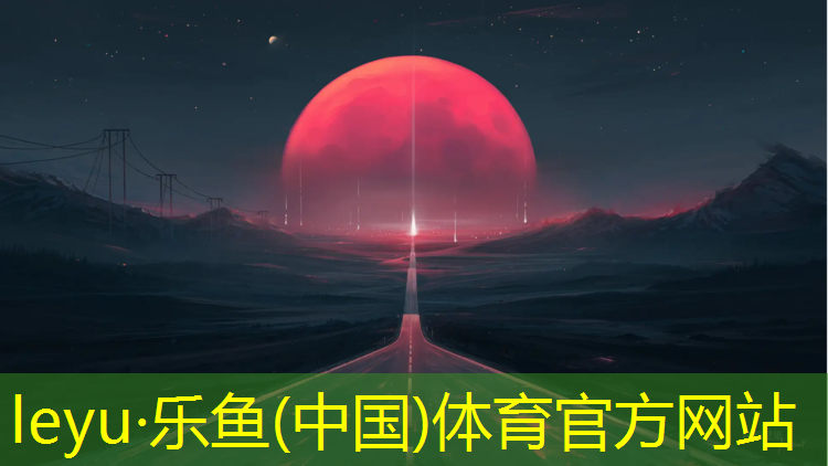 优魄跆拳道电子护具