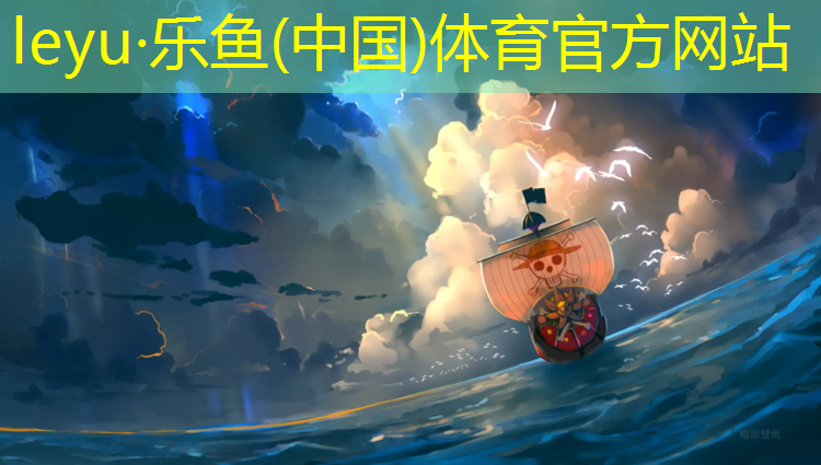 聊城自结纹塑胶跑道
